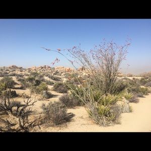 Meet your Posher, Kat